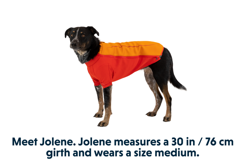 RP - Undercoat™ Dog Water Jacket