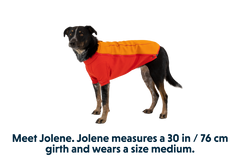 RP - Undercoat™ Dog Water Jacket