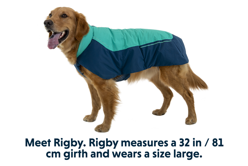 RP - Vert™ Winter Dog Coat