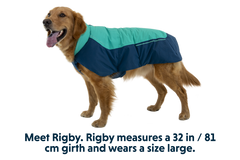 RP - Vert™ Winter Dog Coat