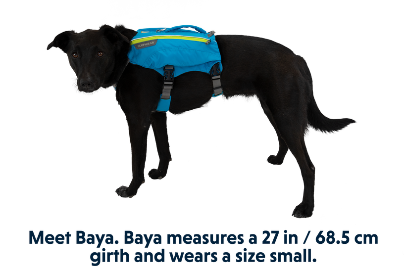 RP - Singletrak™ Dog Hydration Pack