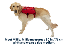 RP - Singletrak™ Dog Hydration Pack