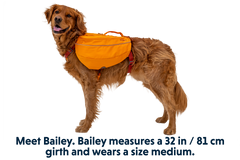 RP - Approach™ Dog Backpack