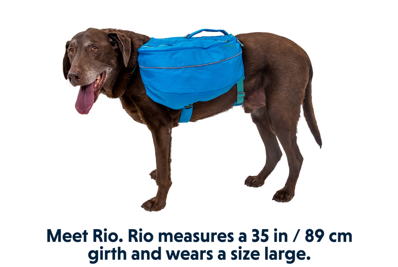 RP - Approach™ Dog Backpack