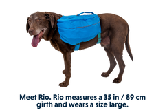 RP - Approach™ Dog Backpack