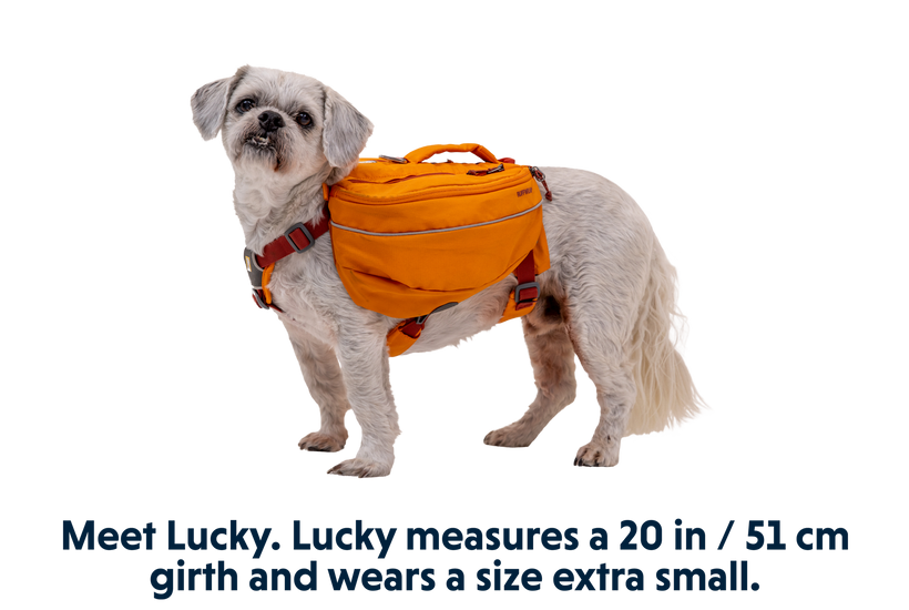 RP - Approach™ Dog Backpack