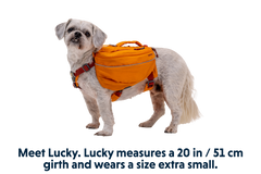 RP - Approach™ Dog Backpack