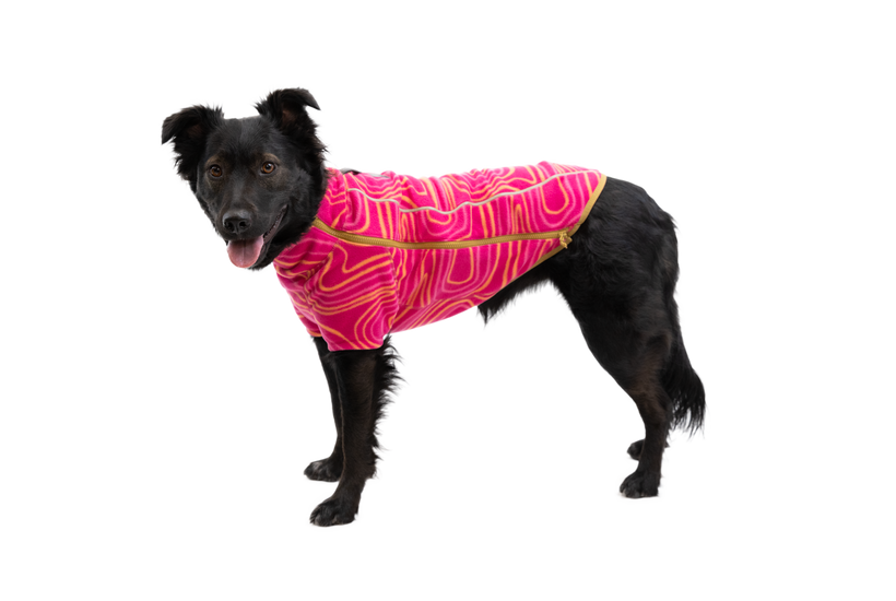 RP - Climate Changer™ Dog Fleece