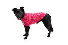 RP - Climate Changer™ Dog Fleece