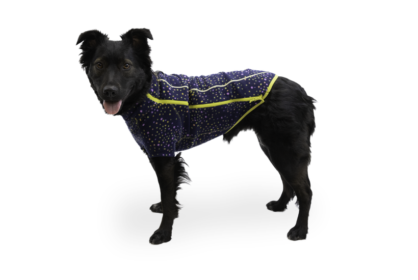 RP - Climate Changer™ Dog Fleece