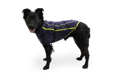 RP - Climate Changer™ Dog Fleece