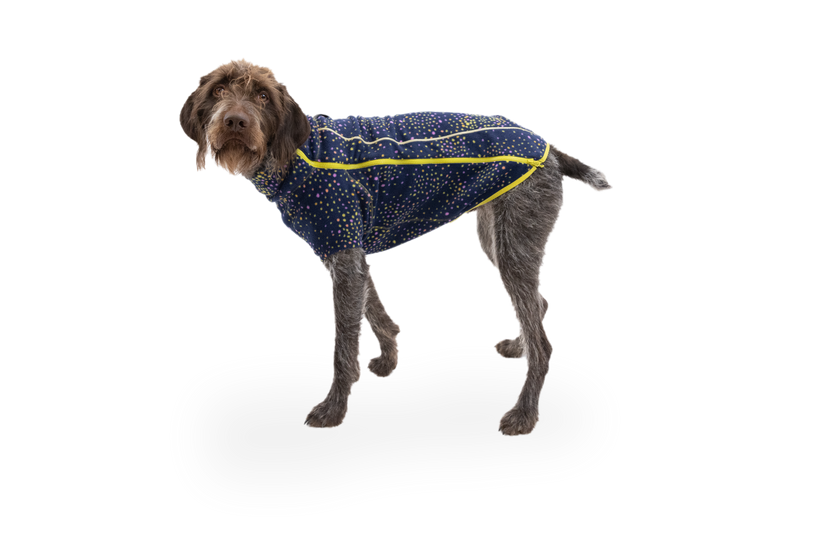 RP - Climate Changer™ Dog Fleece