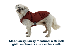 RP - Quinzee™ Dog Puffer Jacket