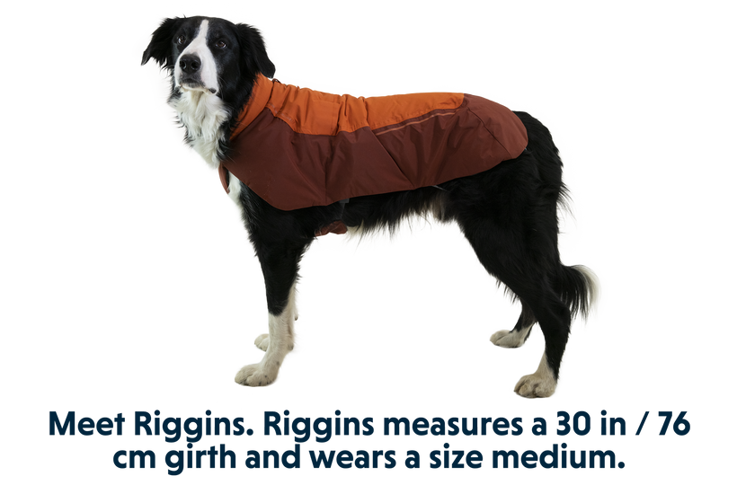 RP - Vert™ Winter Dog Coat