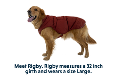 RP - Quinzee™ Dog Puffer Jacket