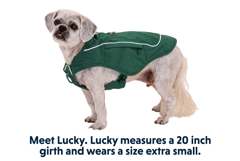 RP - Overcoat Fuse™ Dog Jacket