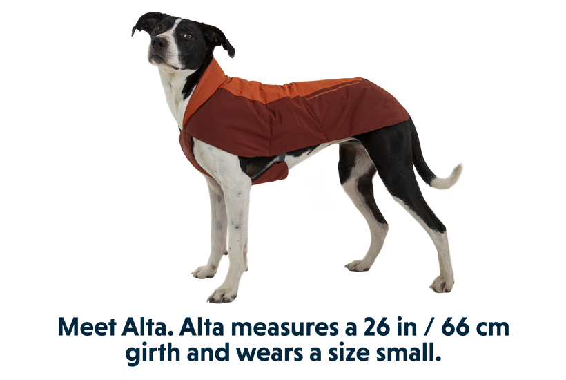 RP - Vert™ Winter Dog Coat