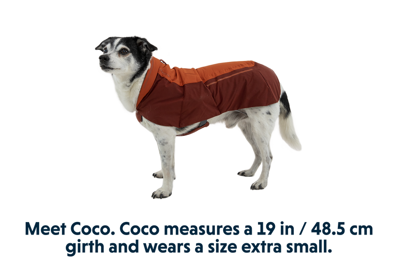 RP - Vert™ Winter Dog Coat