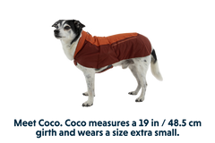 RP - Vert™ Winter Dog Coat