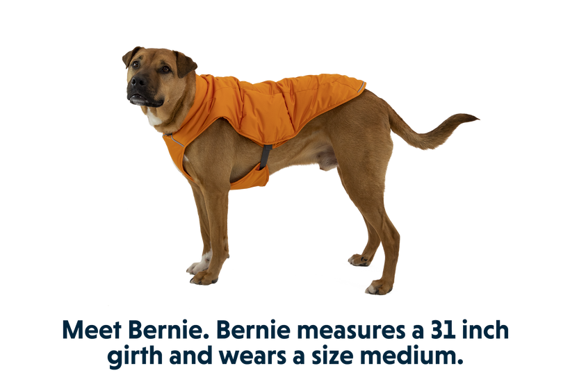 RP - Quinzee™ Dog Puffer Jacket