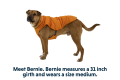 RP - Quinzee™ Dog Puffer Jacket