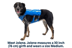 RP - Trail Runner™ Dog Running Vest