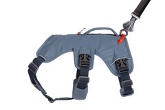 RP - Web Master™ Dog Harness with Handle