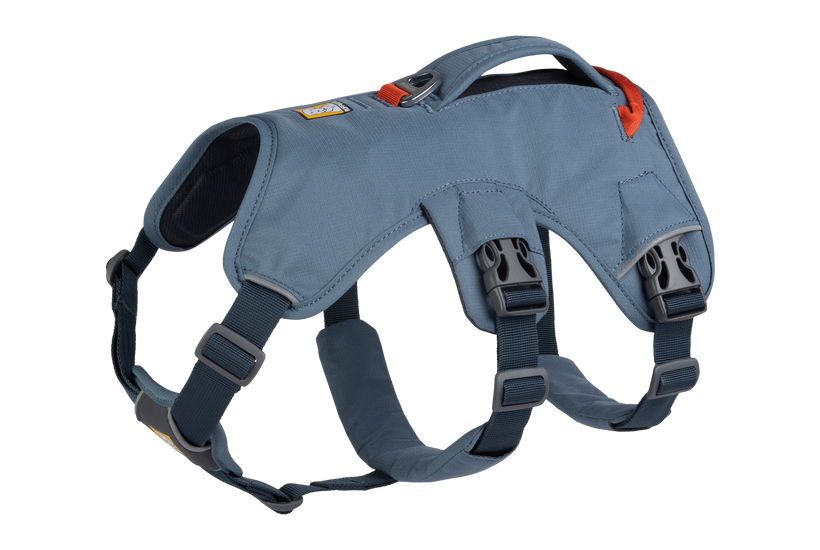 RP - Web Master™ Dog Harness with Handle