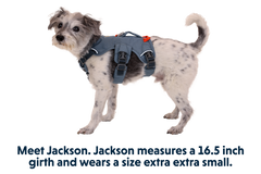 RP - Web Master™ Dog Harness with Handle