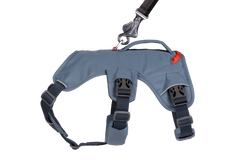 RP - Web Master™ Dog Harness with Handle