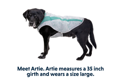 RP - Swamp Cooler™ Cooling Dog Vest