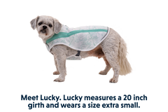 RP - Swamp Cooler™ Cooling Dog Vest