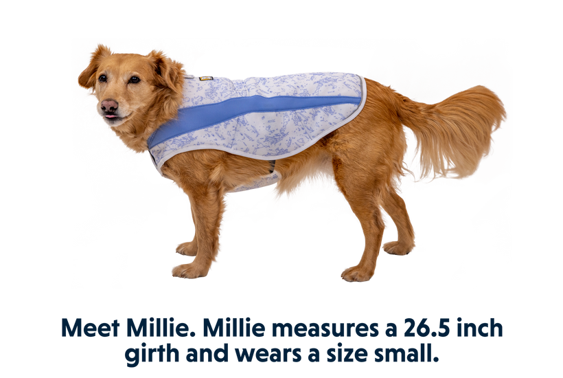 RP - Swamp Cooler™ Cooling Dog Vest