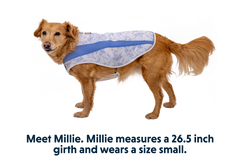 RP - Swamp Cooler™ Cooling Dog Vest