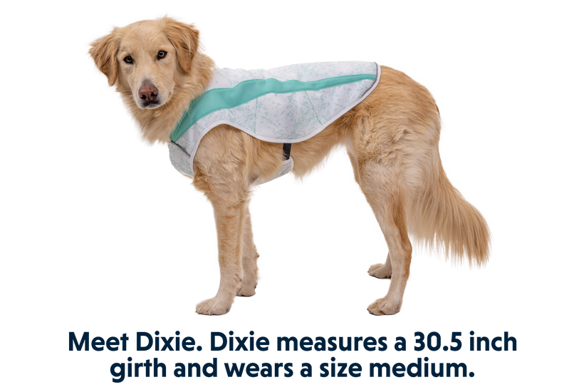 RP - Swamp Cooler™ Cooling Dog Vest