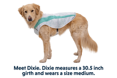 RP - Swamp Cooler™ Cooling Dog Vest