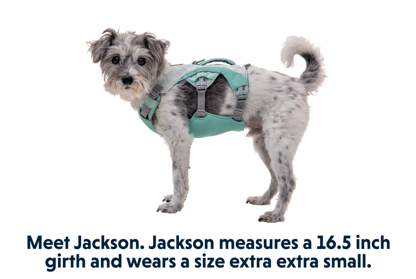 RP - Swamp Cooler™ Dog Cooling Harness