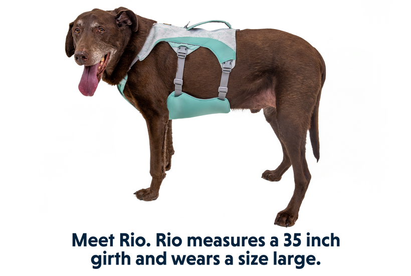 RP - Swamp Cooler™ Dog Cooling Harness