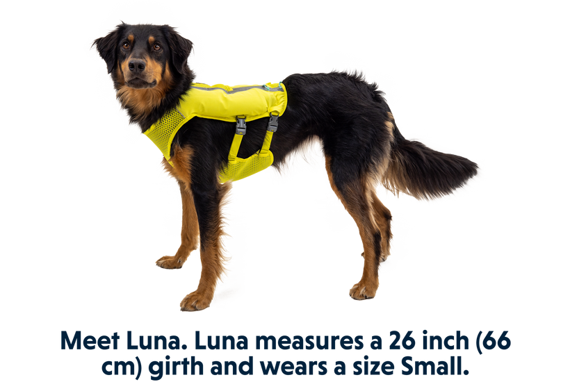 RP - Trail Runner™ Dog Running Vest