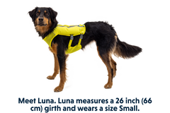 RP - Trail Runner™ Dog Running Vest