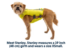 RP - Trail Runner™ Dog Running Vest