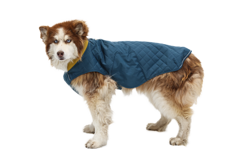 RP - Stumptown™ Quilted Dog Coat