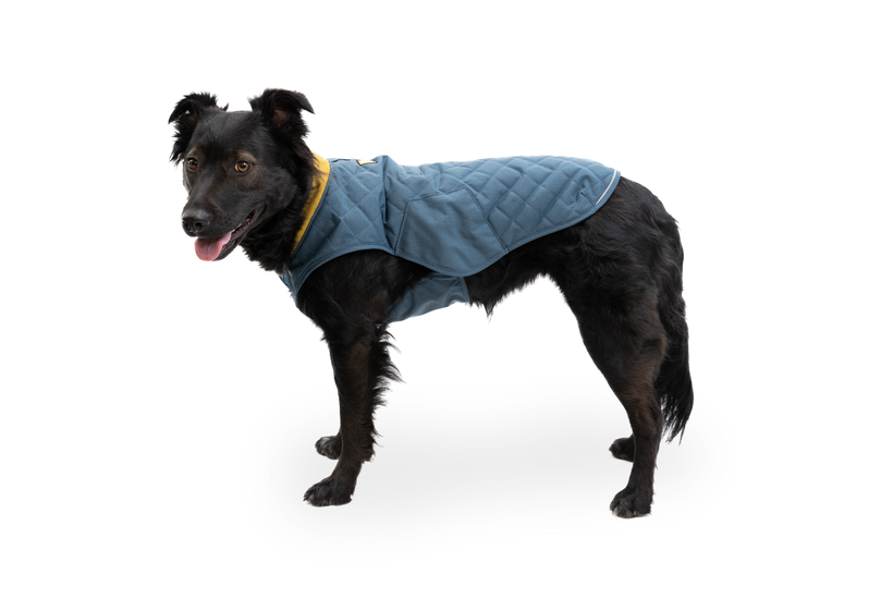 RP - Stumptown™ Quilted Dog Coat