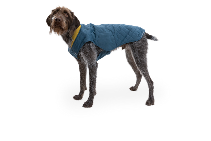 RP - Stumptown™ Quilted Dog Coat