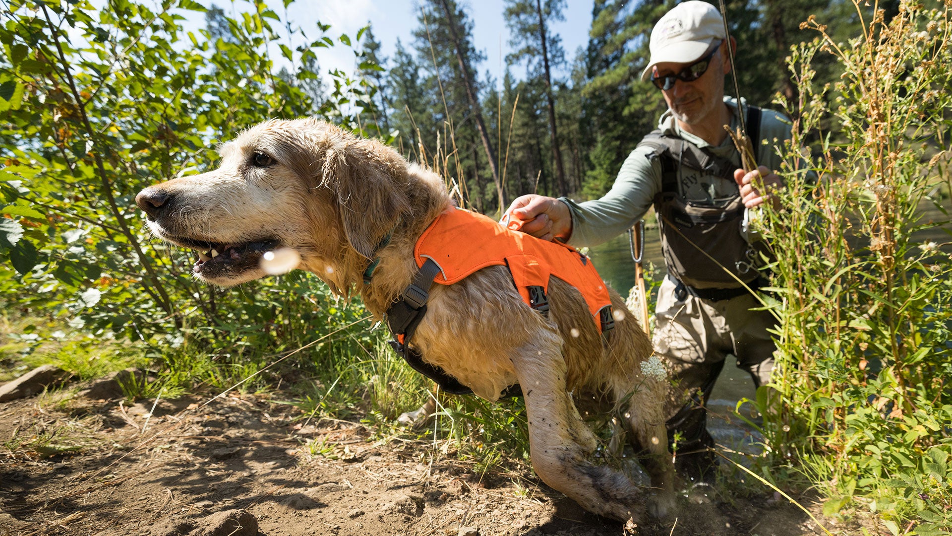 Brush Guard Harness Add On Ruffwear