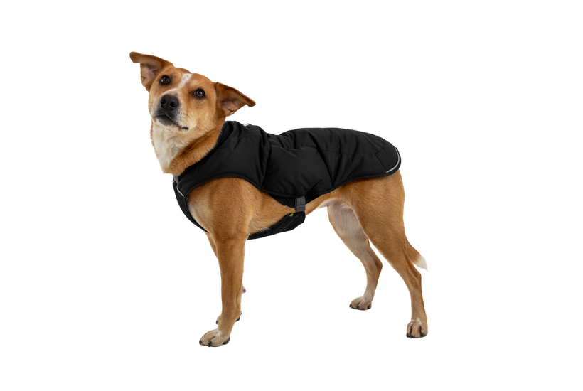 RP - Quinzee™ Dog Puffer Jacket