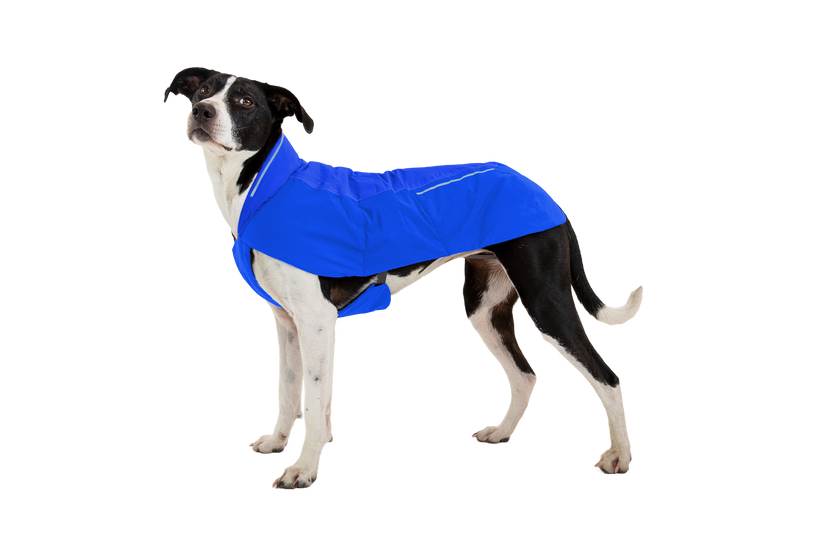 RP - Vert™ Winter Dog Coat