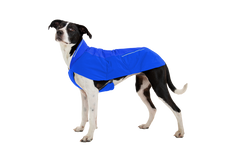 RP - Vert™ Winter Dog Coat