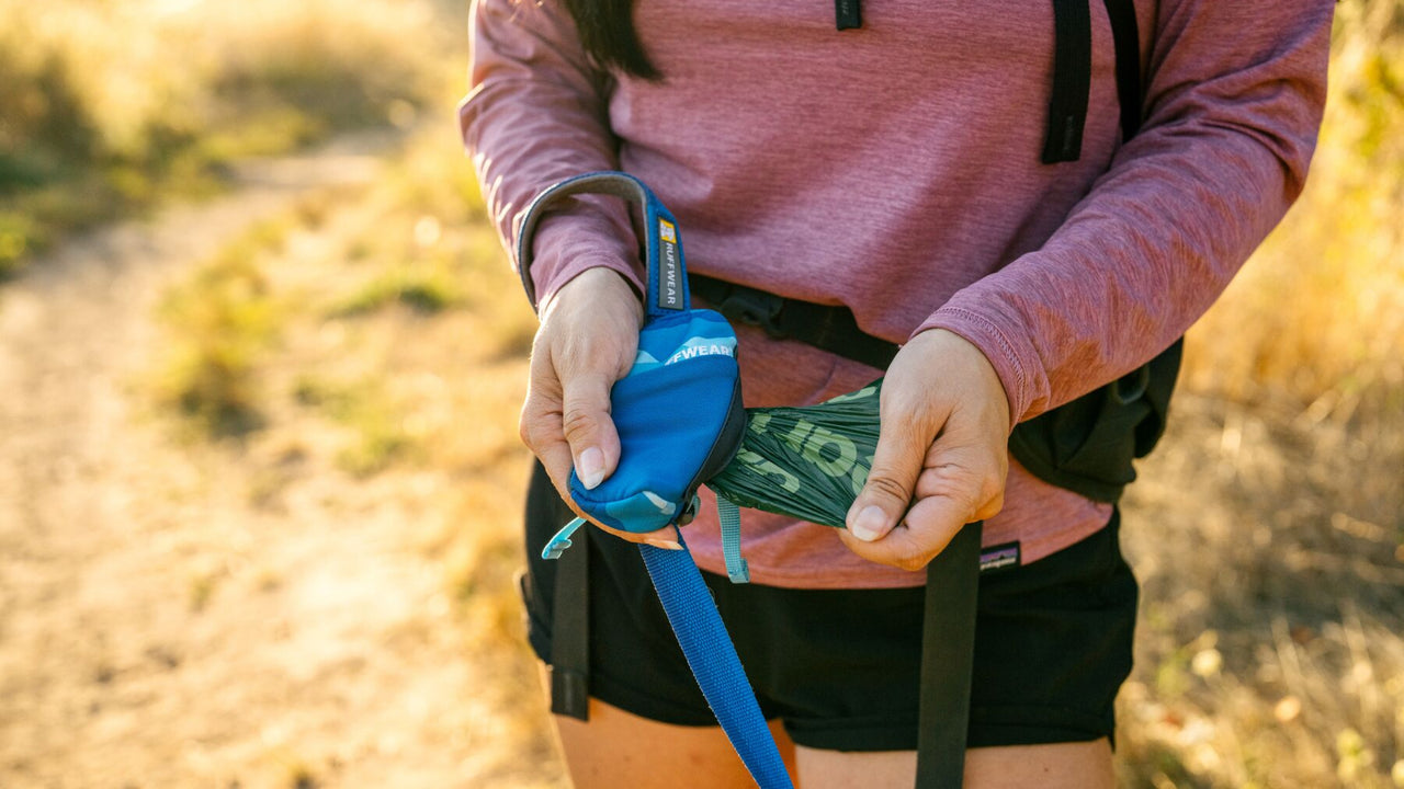Dispensador de bolsas de popo
