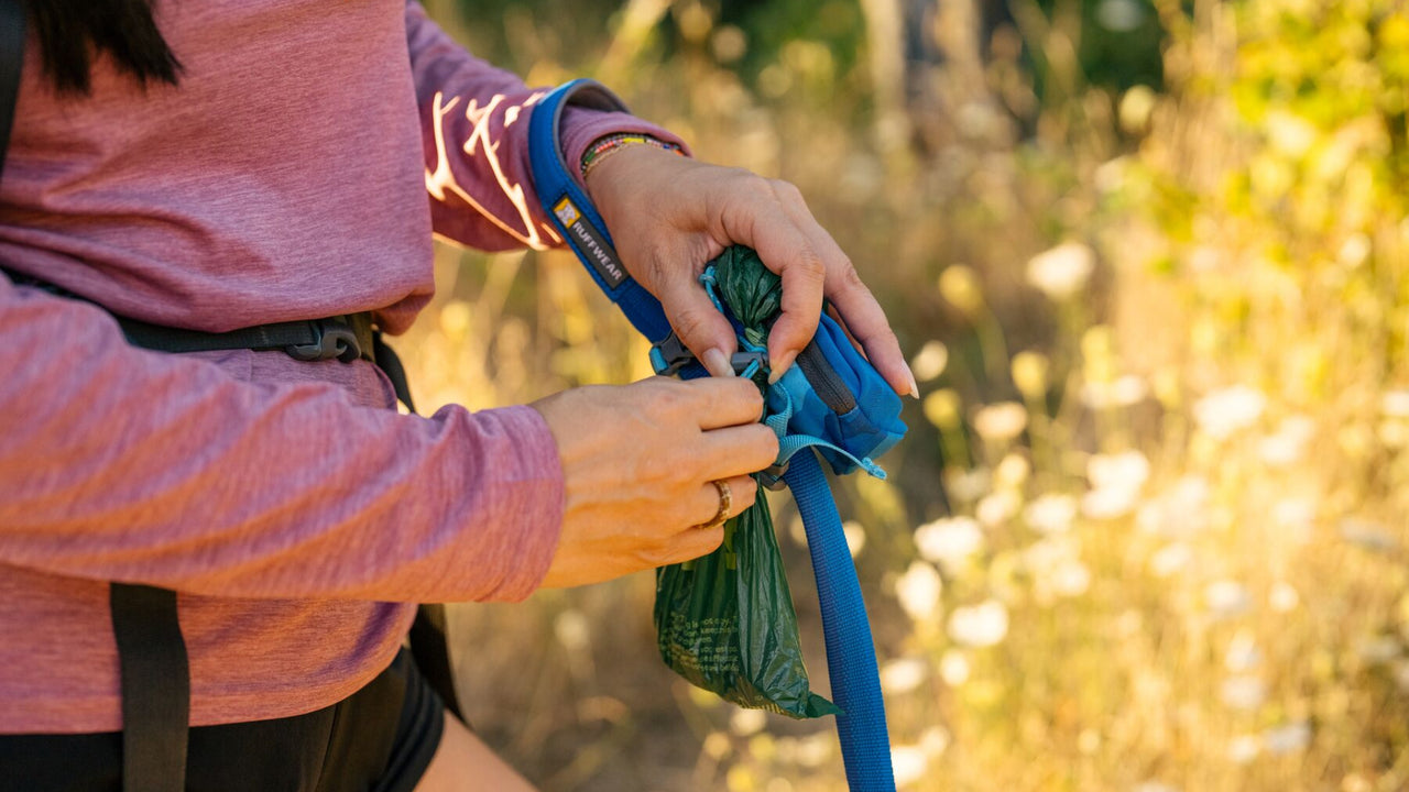 Transporta fácilmente bolsas usadas
